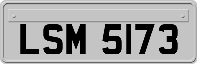 LSM5173