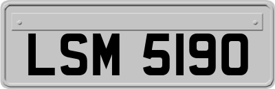 LSM5190