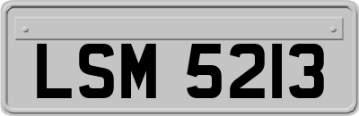 LSM5213