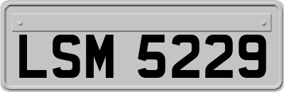 LSM5229