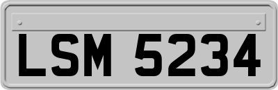 LSM5234