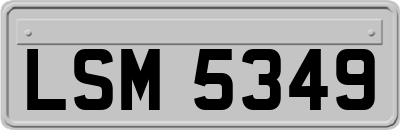 LSM5349