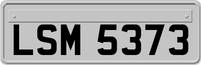LSM5373