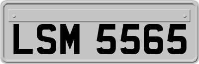 LSM5565