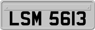 LSM5613