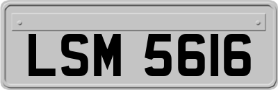 LSM5616