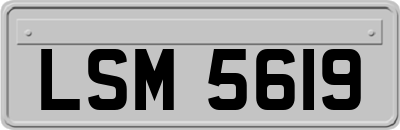 LSM5619