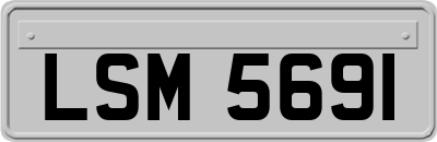 LSM5691