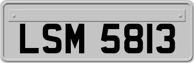 LSM5813