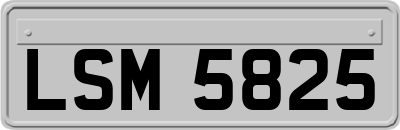 LSM5825