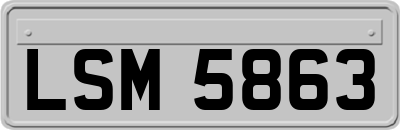 LSM5863