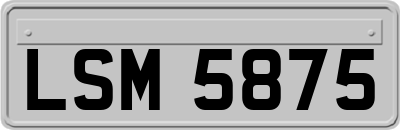 LSM5875