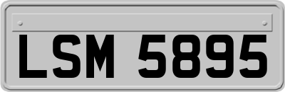 LSM5895