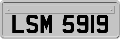 LSM5919