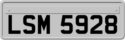LSM5928