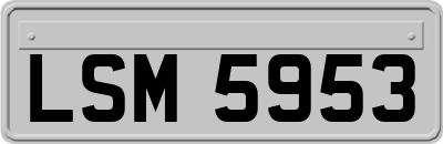 LSM5953