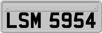 LSM5954