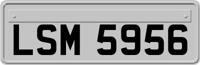 LSM5956