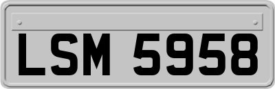 LSM5958