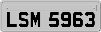 LSM5963
