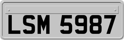 LSM5987