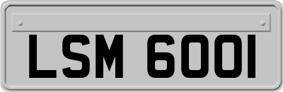 LSM6001