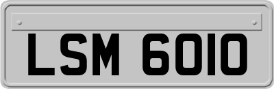 LSM6010