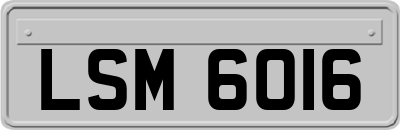 LSM6016