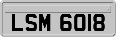 LSM6018
