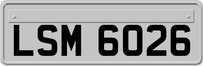 LSM6026