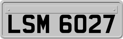 LSM6027