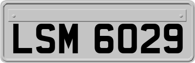LSM6029