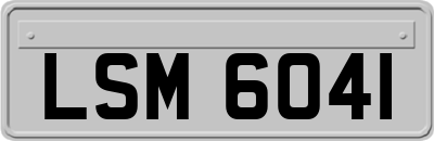 LSM6041
