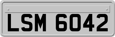 LSM6042
