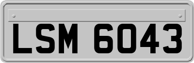 LSM6043