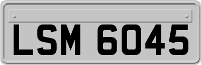 LSM6045