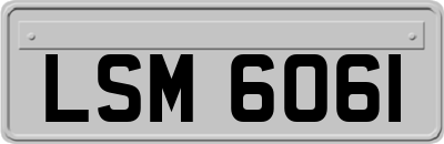 LSM6061