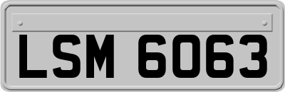 LSM6063