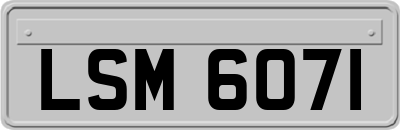 LSM6071