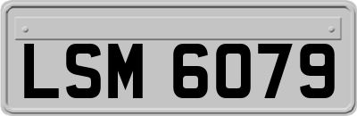 LSM6079