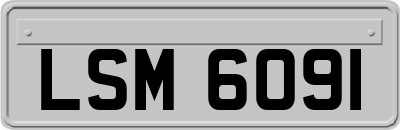 LSM6091