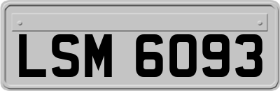 LSM6093