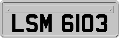 LSM6103