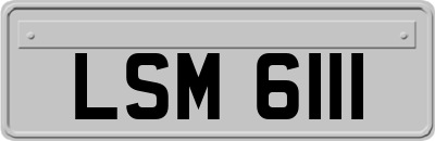 LSM6111