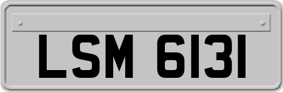LSM6131