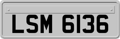 LSM6136