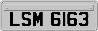LSM6163