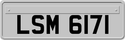 LSM6171