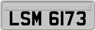 LSM6173
