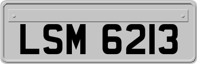 LSM6213